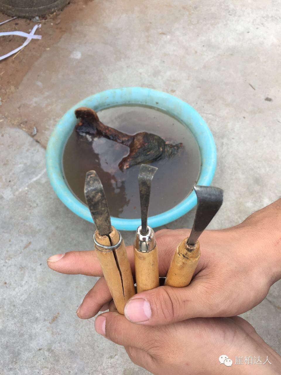 手把手教你打磨崖柏,崖柏玩皮怎么打磨