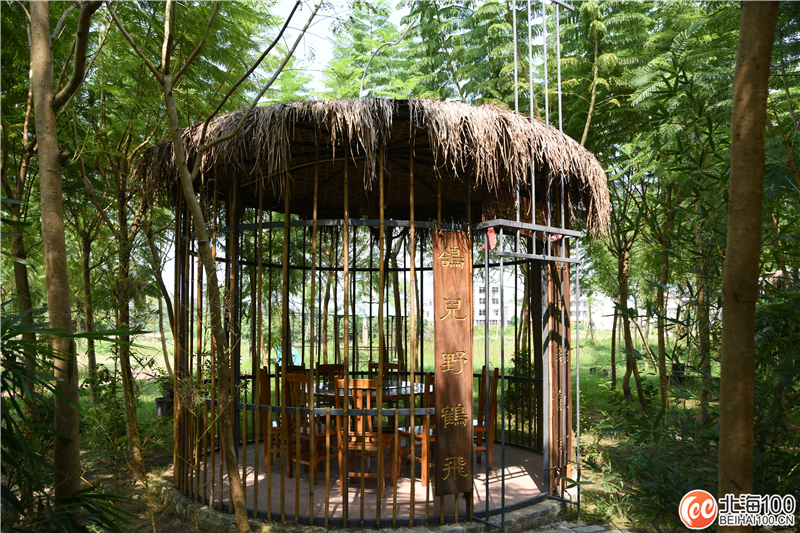 周末去哪儿玩？小编带你去合浦七里香茶庄园和石康镇“小村故事”