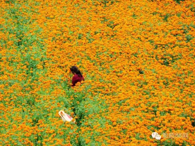 和顺县上元村太行山,和顺县自然风景
