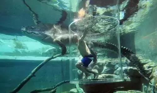 世界十大最刺激旅行,世界十大必试旅行体验