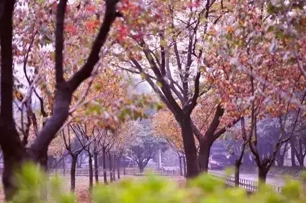 武汉不为人知的好玩地方推荐,武汉50块好玩的地方