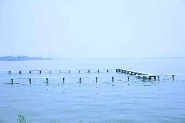 武汉不为人知的好玩地方推荐,武汉50块好玩的地方