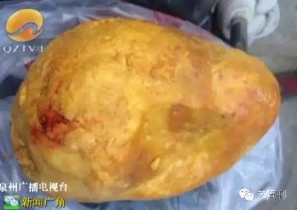 天价鸡宝骗局,传说中的天价鸡宝