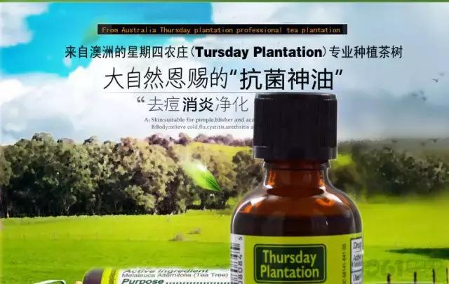 澳洲星期四茶树精油祛痘霜 (澳洲星期四精油祛痘)