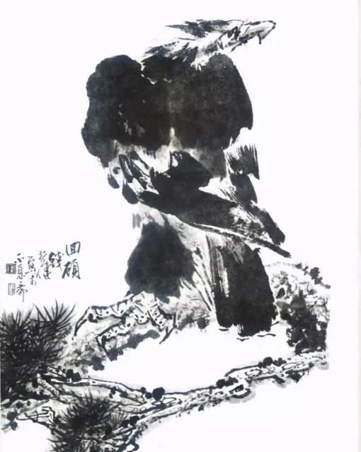 国画之鹰作品大全大图,国画大写意鹰图片大全