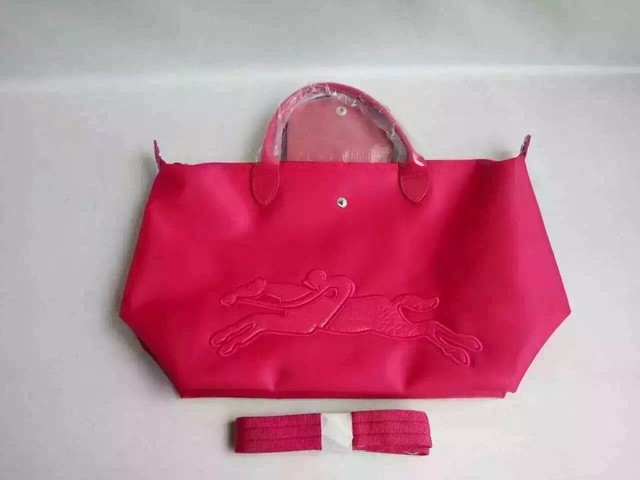 longchamp珑骧饺子包,longchamp饺子包爆款