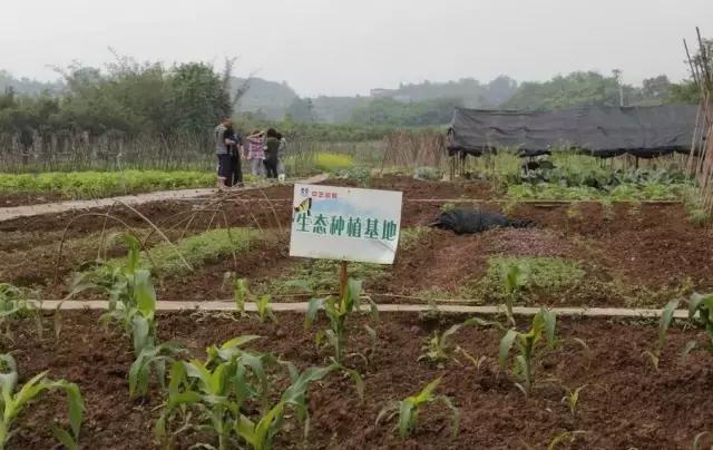 农家乐推荐周边特色农家乐平武,重庆主城周边农村农家乐前十名