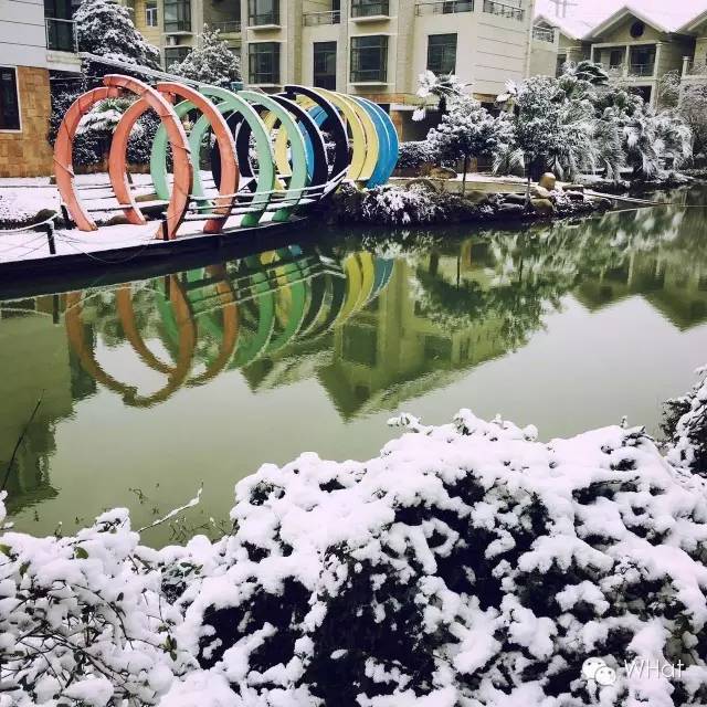 武汉只下一天雪吗,武汉下的是雪吗