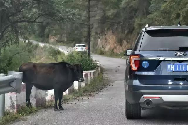 先定一个小目标，比方说先来辆福特探险者