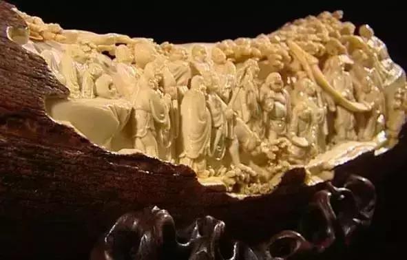 象牙的十大秘密 (象牙的惊人秘密)