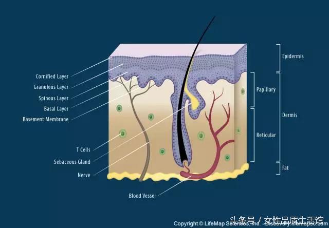 祛痘印到底用什么,祛痘印的真实故事
