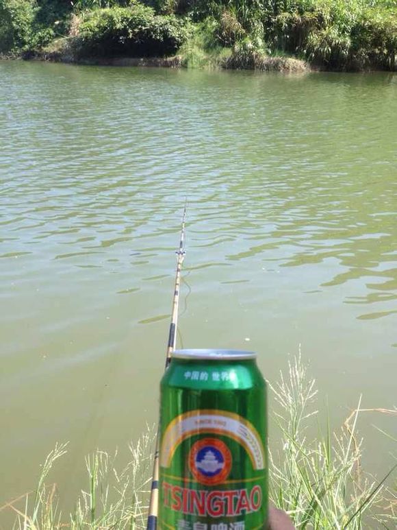 带小伙伴们去水库钓鱼,带大家一起去钓鱼