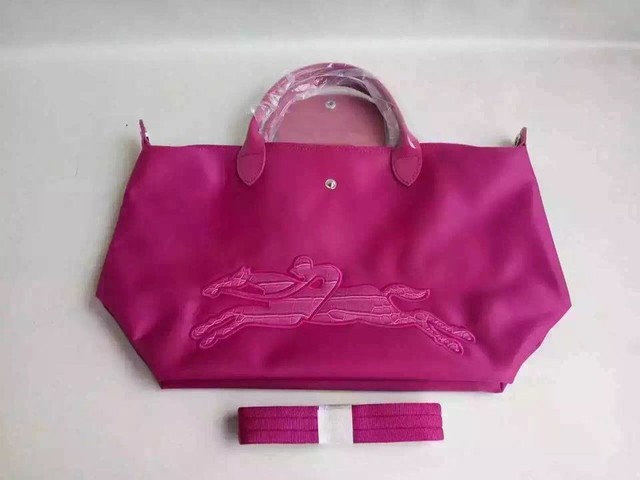 longchamp饺子包耐用吗,longchamp饺子包辨别真假