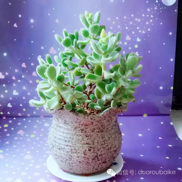 入坑就不能自拔,入坑后无法自拔