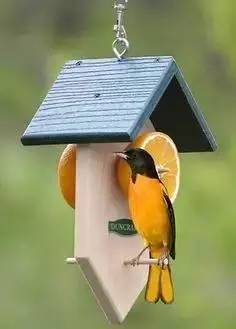 水果店美团怎么搞自配送,美团水果店自配送怎么运营