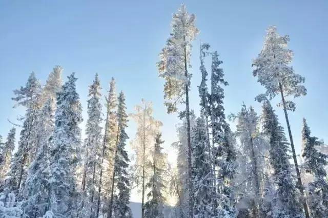 这个北欧妹子所拥有的普通生活，很多人一辈子都没法过