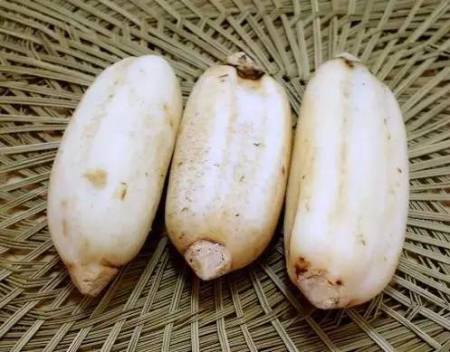 十大健脑必知道的食物,国际公认的5大健脑食物