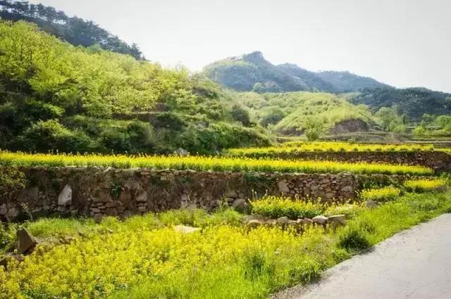 济南风景优美的两个地方,济南的美景向大家推荐一下