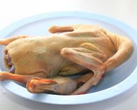 南京桂花鸭盐水鸭,南京韩复兴桂花鸭