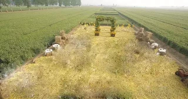 四川绵阳农村婚礼现场,成都农村如何办一场极简的婚礼