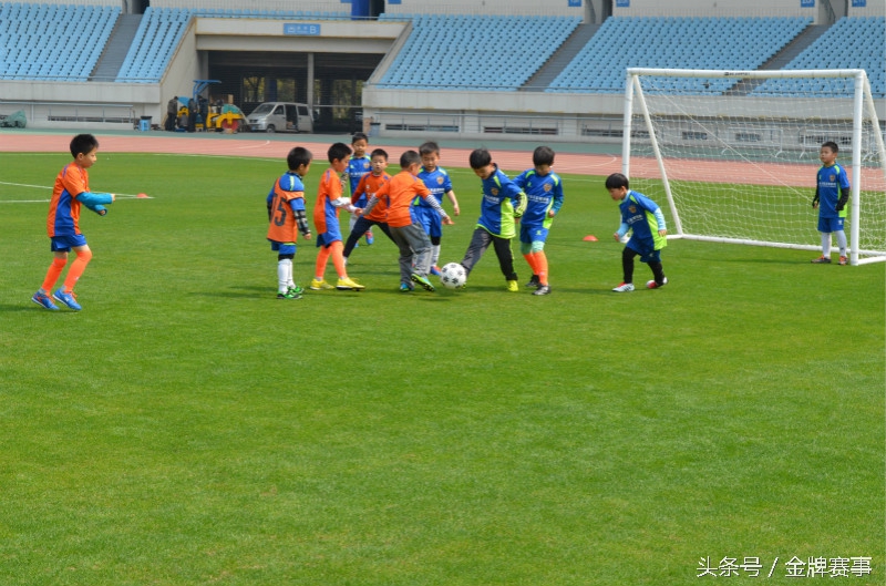 苏体赛事报名,苏体招生简章