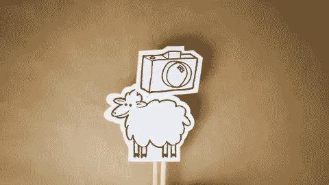 谷歌认证导出账号,谷歌认证程序