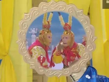 真假警察对决完整视频,真假警察对决方案