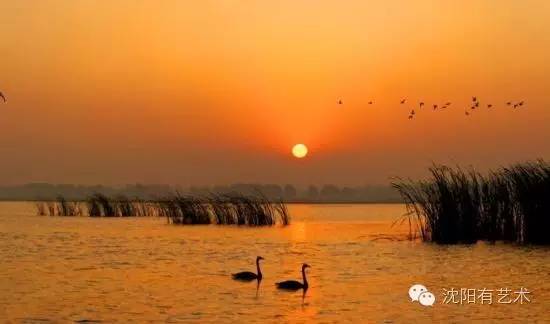 沈阳值得去的免费公园,外国人在沈阳旅游