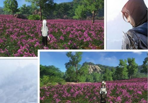 天涯明月刀节日福利,天涯明月刀通用礼包大全