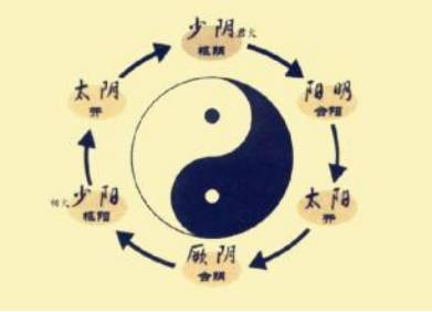 中药附子使用歌诀,每日一味中药附子