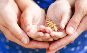 2022年实施的家庭教育的法律,家庭教育法颁布视频