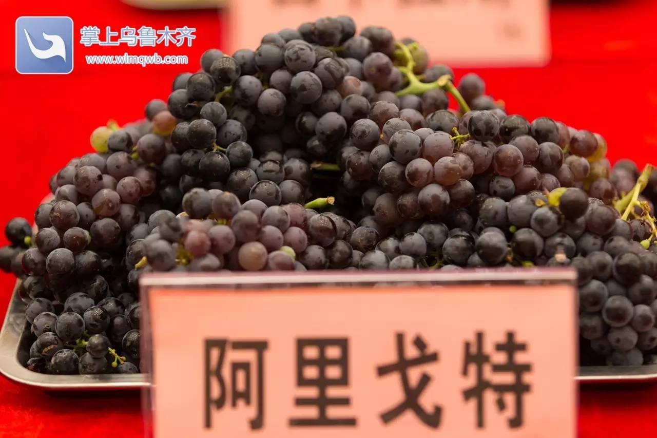 自带花香味的葡萄你吃过吗,吃葡萄不吐葡萄皮的葡萄怎么挑