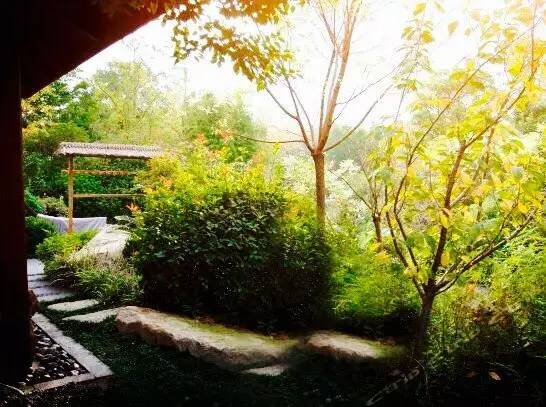 零下9℃的上海，你要怎么过？这20家不同价位的泡汤地来拯救怕冷的你...