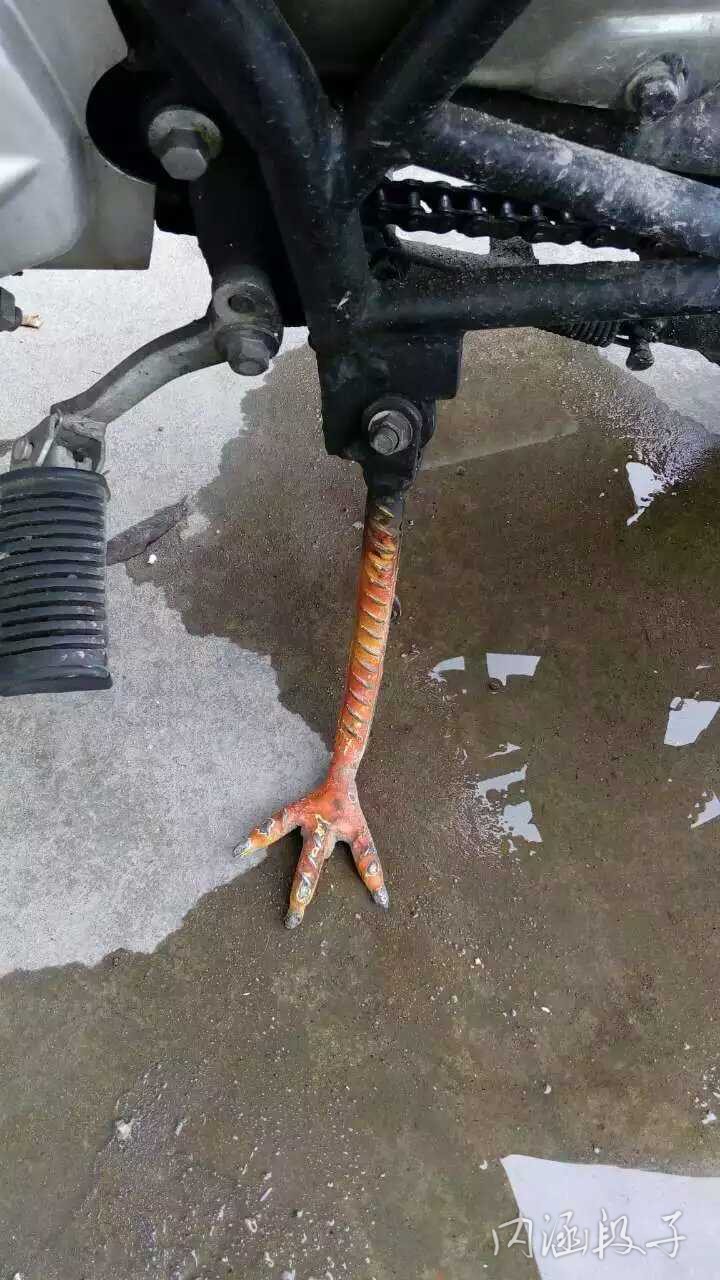 老师居然说我不举，你为什么不举？全班就你一个人不举！