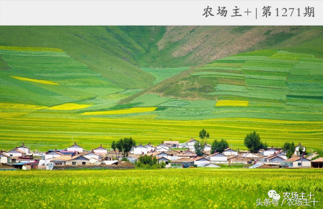 休闲农庄7大盈利模式,休闲农庄有什么前景吗