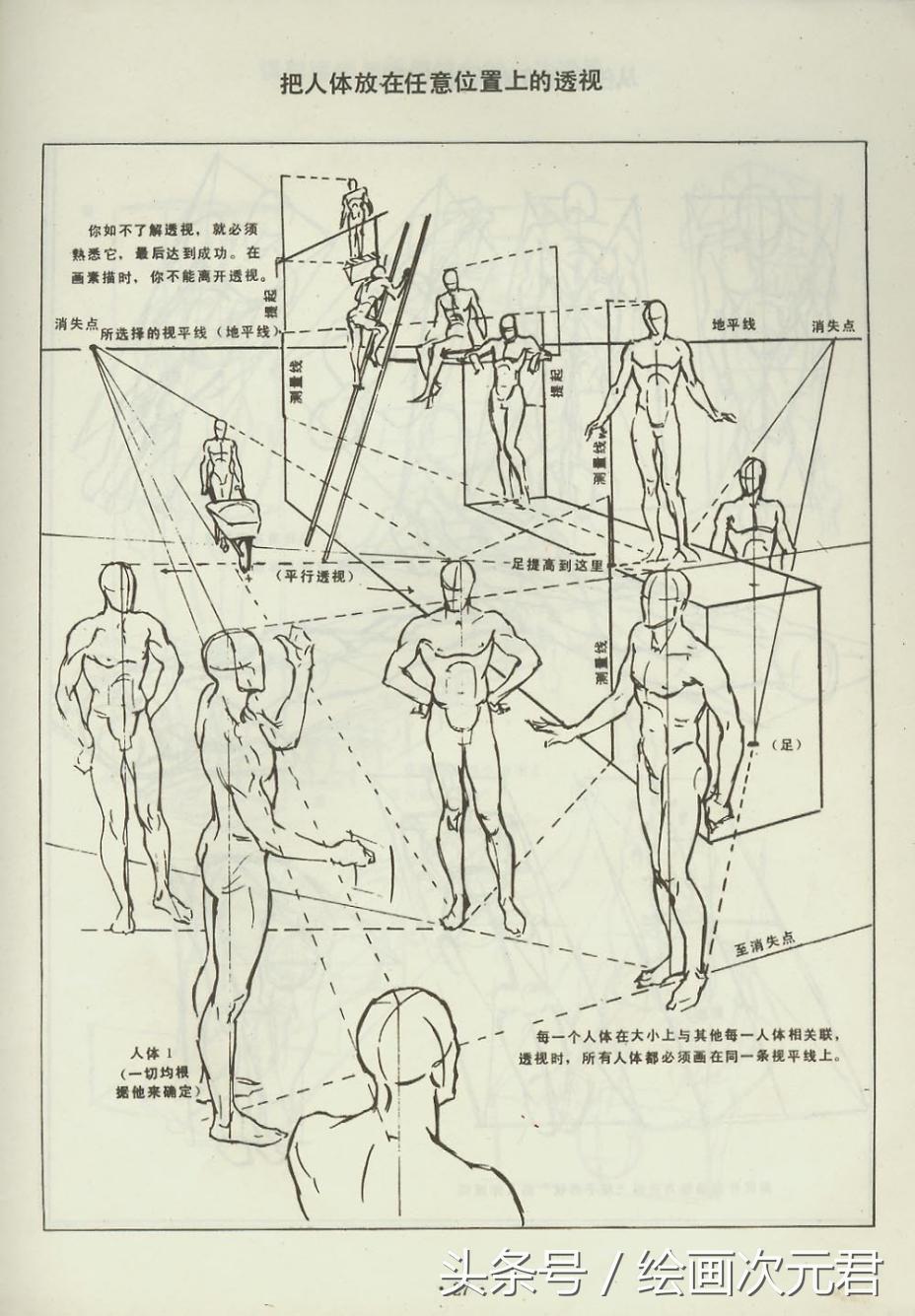 人体结构动态临摹练习册,人体结构怎么画才不僵硬