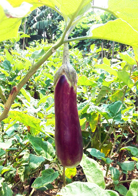 去沙漠容易得什么病,在沙漠中如果生病了如何就地治疗