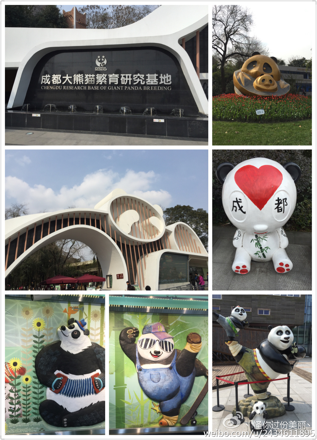 成都两天一夜吃喝攻略,成都吃喝玩乐攻略