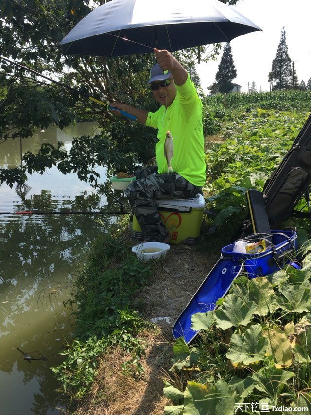 渔品汇产品,渔品汇饵料