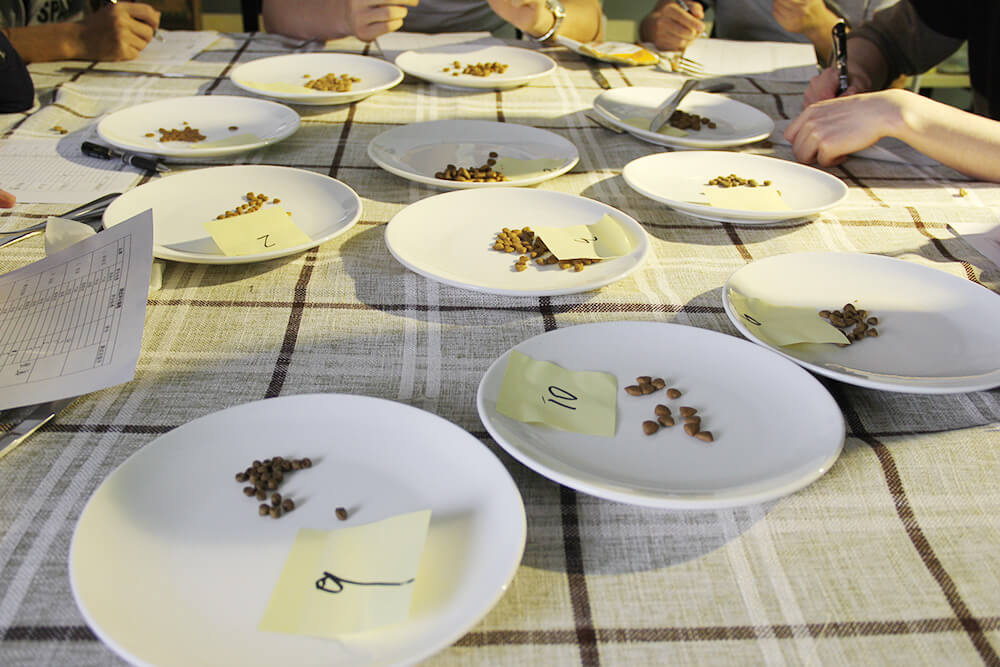 食屎啦，是一种什么样的体验|丧心病狂之狗粮试吃