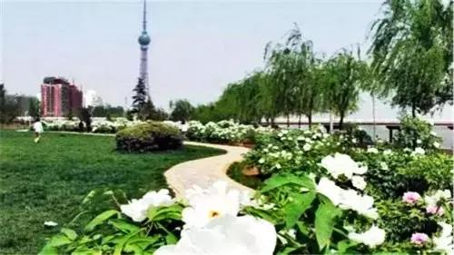 洛阳涧西区好玩的景点,洛阳35个免费景点