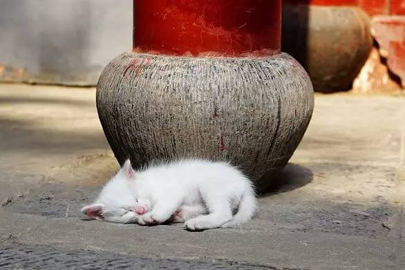 徐州坐高铁到北京要多少小时,徐州高铁去西安