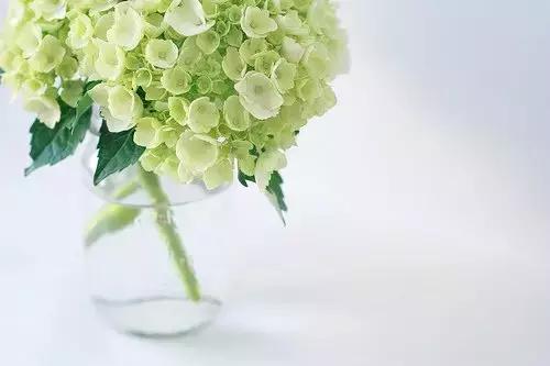 在吗我想你了模板,在吗我想你了语音