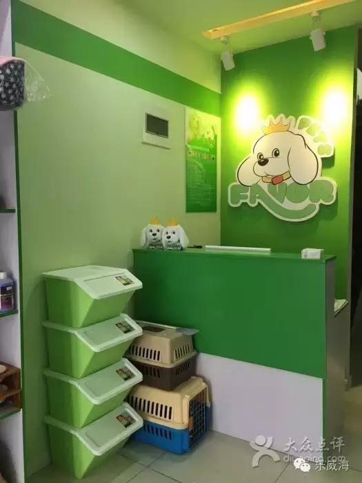 威海最全的宠物店汇总!喵奴汪主人还不速速收藏!