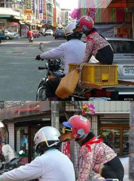 内涵段子：这个时候你敢捡香皂吗？