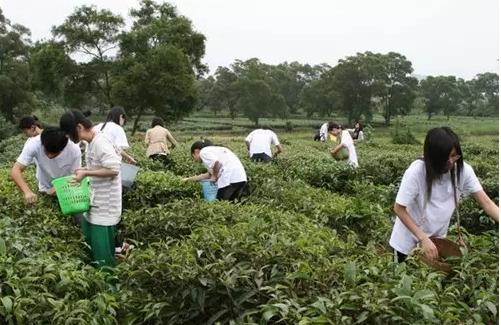 开学啦学英语,开学啦国学