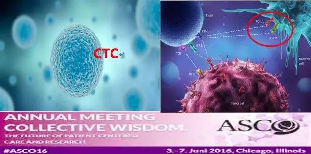 循环肿瘤细胞研究现状,循环肿瘤细胞检测阴性是什么意思