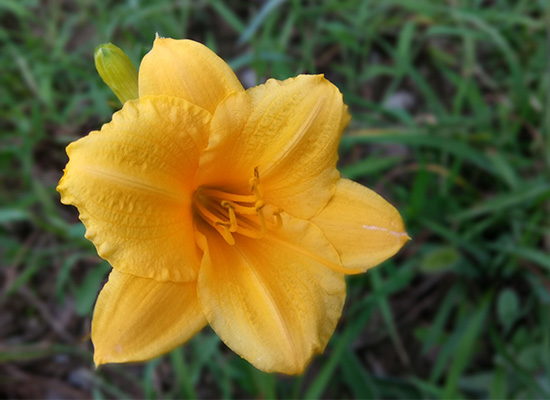 cool1dual是什么牌子,cool1dual有多少软件