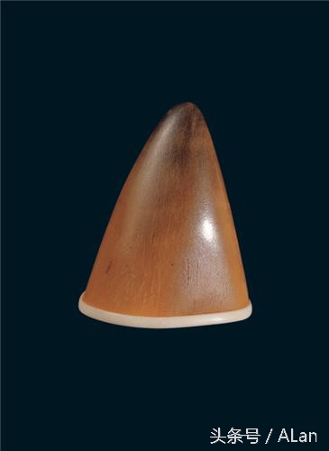 犀牛原角特征,犀牛的角的辨别标准