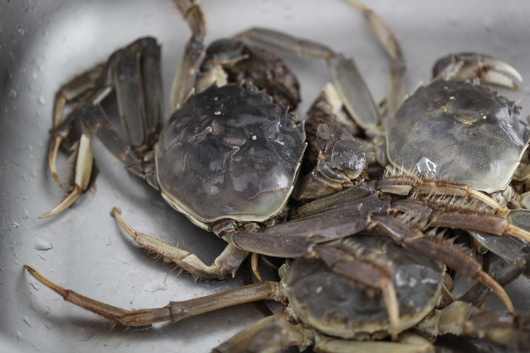 吃完海鲜洗手去腥,吃海鲜后手上的腥味怎么去除